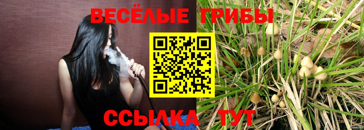Галлюциногенные грибы мицелий Ярцево