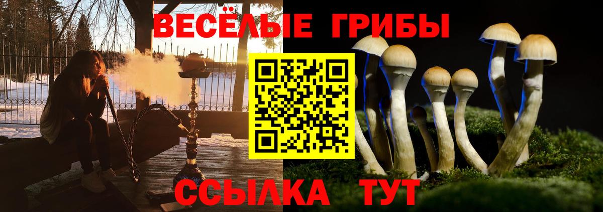 Ярцево  Псилоцибиновые грибы GOLDEN TEACHER  Вход с VPN 